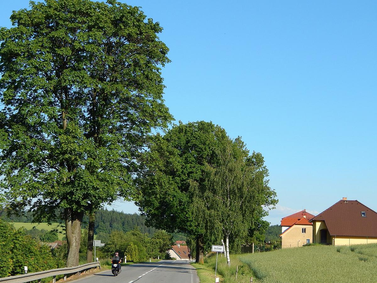 Zajíčkov